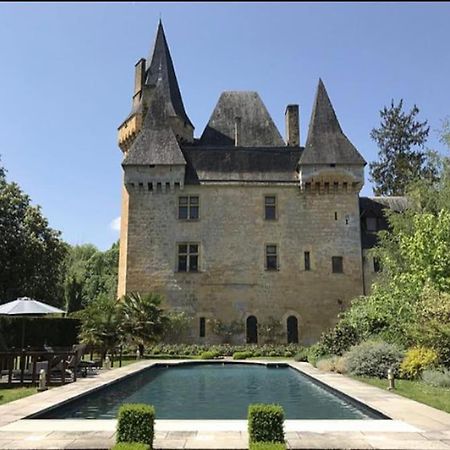 Chateau De Clerans サン・レオン・シュル・ヴェゼール エクステリア 写真