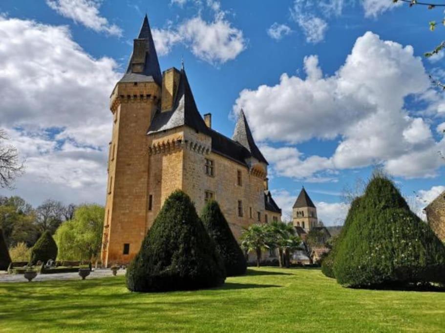 Chateau De Clerans サン・レオン・シュル・ヴェゼール エクステリア 写真