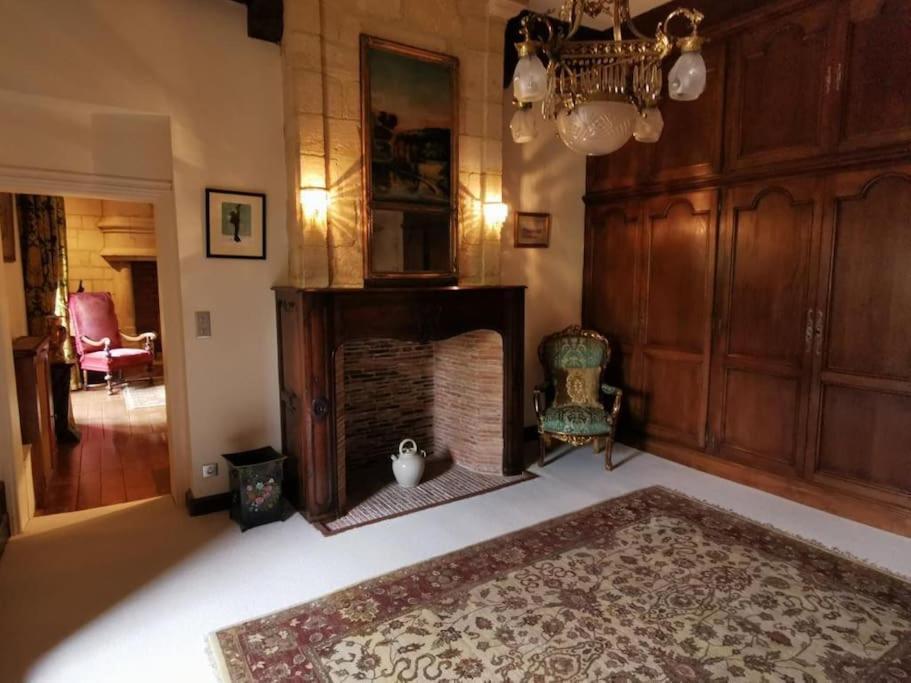 Chateau De Clerans サン・レオン・シュル・ヴェゼール エクステリア 写真