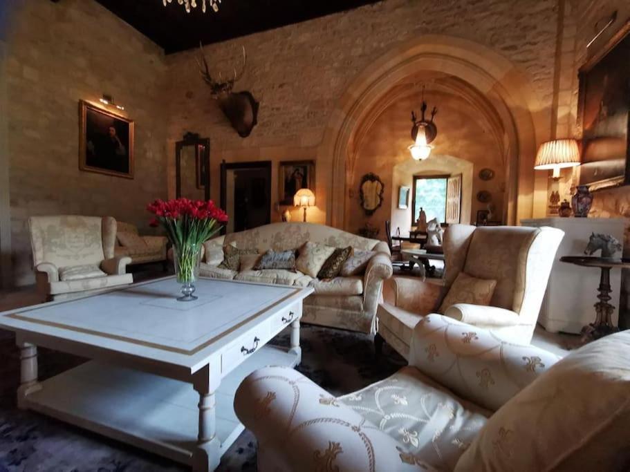 Chateau De Clerans サン・レオン・シュル・ヴェゼール エクステリア 写真