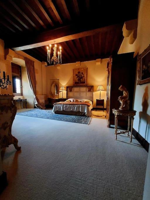 Chateau De Clerans サン・レオン・シュル・ヴェゼール エクステリア 写真