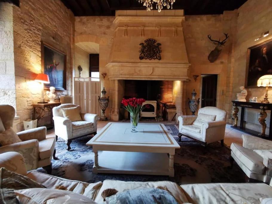 Chateau De Clerans サン・レオン・シュル・ヴェゼール エクステリア 写真