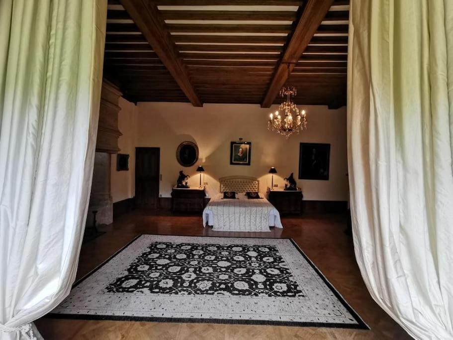 Chateau De Clerans サン・レオン・シュル・ヴェゼール エクステリア 写真