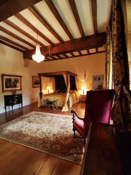 Chateau De Clerans サン・レオン・シュル・ヴェゼール エクステリア 写真