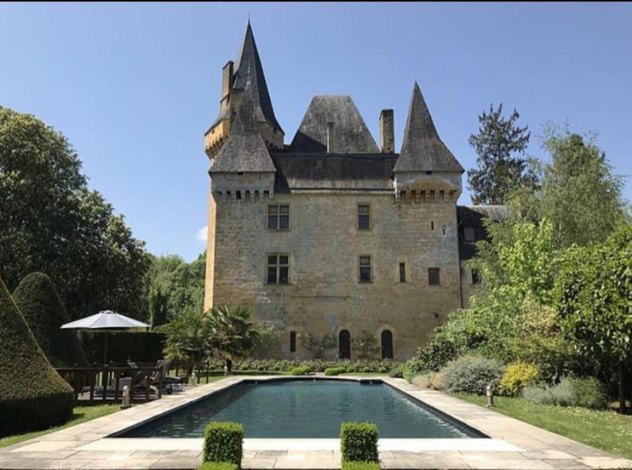 Chateau De Clerans サン・レオン・シュル・ヴェゼール エクステリア 写真