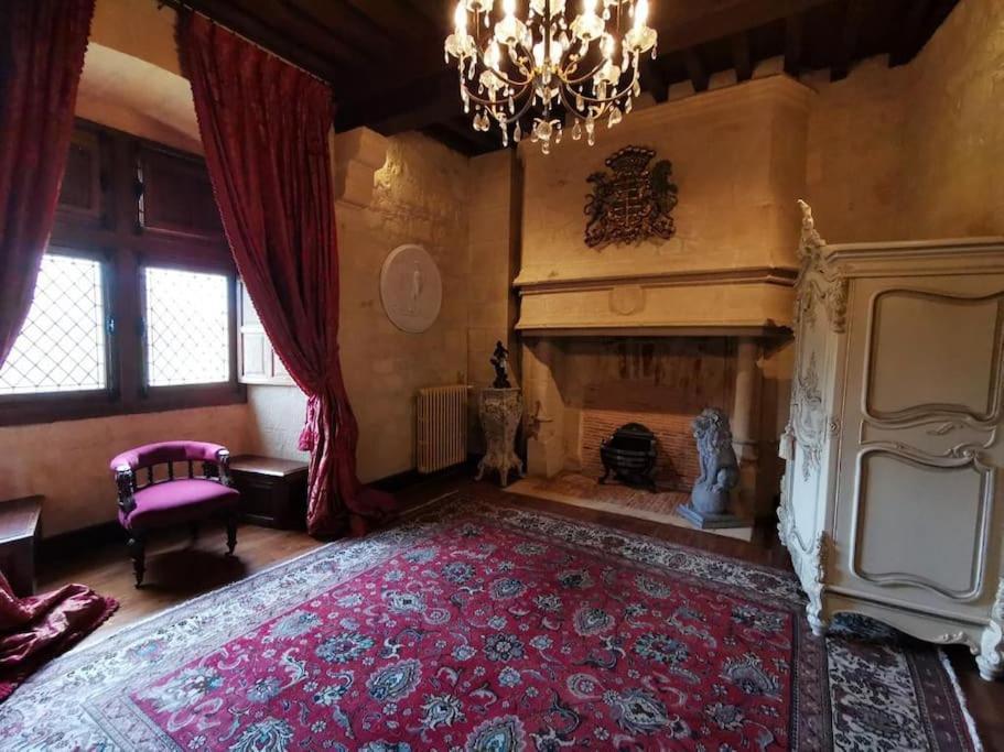 Chateau De Clerans サン・レオン・シュル・ヴェゼール エクステリア 写真