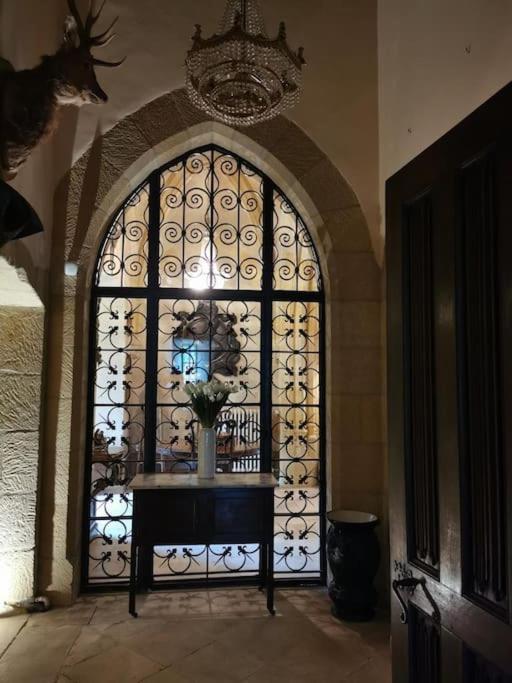 Chateau De Clerans サン・レオン・シュル・ヴェゼール エクステリア 写真