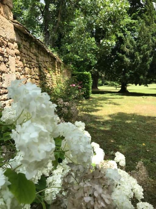 Chateau De Clerans サン・レオン・シュル・ヴェゼール エクステリア 写真