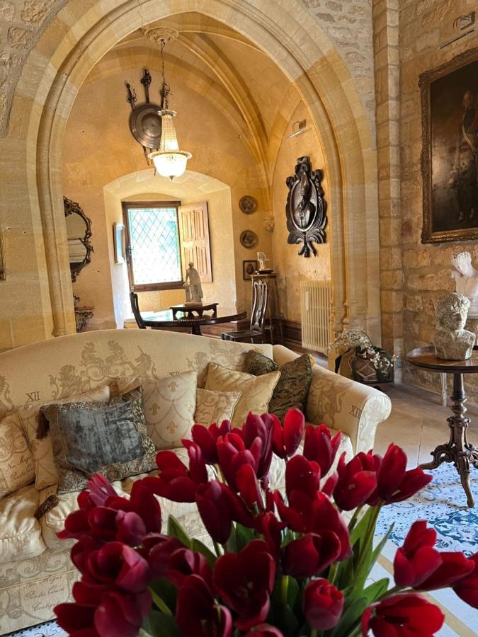 Chateau De Clerans サン・レオン・シュル・ヴェゼール エクステリア 写真