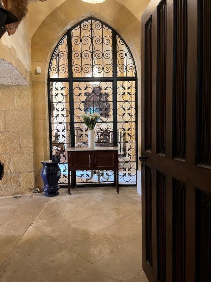 Chateau De Clerans サン・レオン・シュル・ヴェゼール エクステリア 写真